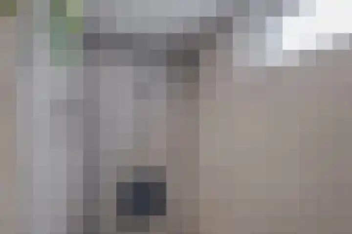 du Tourweg 19 Epse thumbnail 31
