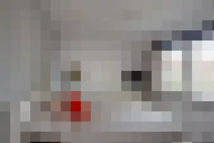 du Tourweg 19 Epse thumbnail 37