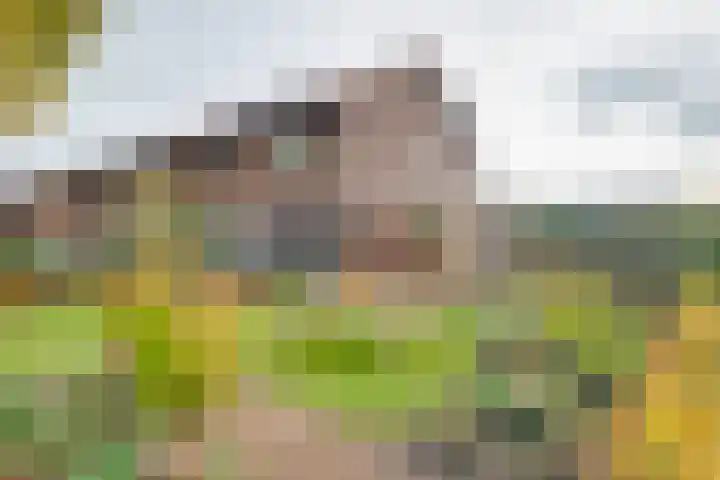 du Tourweg 19 Epse thumbnail 44