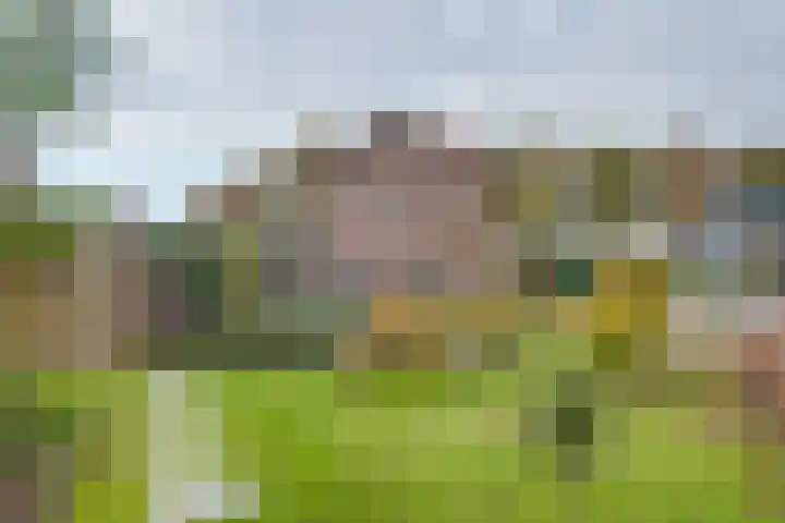 du Tourweg 19 Epse thumbnail 45