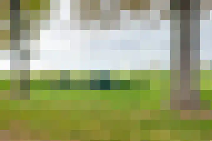 du Tourweg 19 Epse thumbnail 59