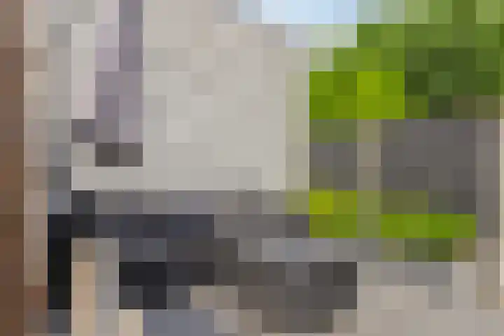du Tourweg 22 Epse thumbnail 22