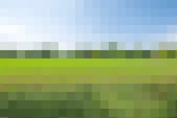 du Tourweg 22 Epse thumbnail 32