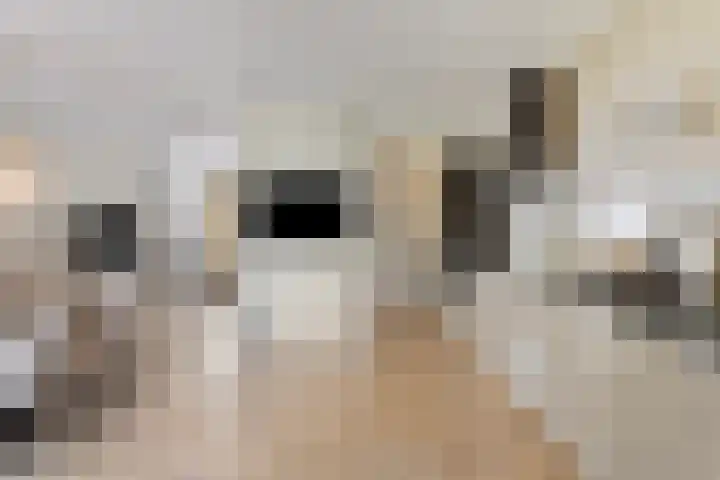 du Tourweg 22 Epse thumbnail 4