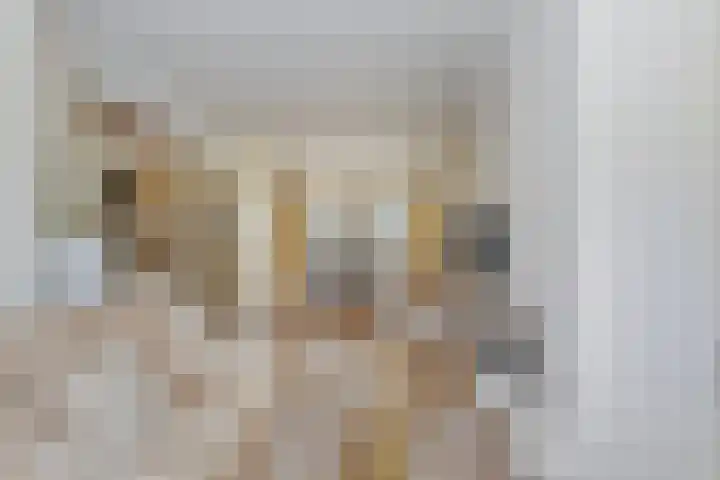 du Tourweg 22 Epse thumbnail 5