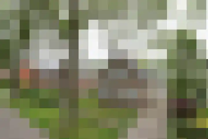 Dubbe Loop 4 Nuenen thumbnail 12