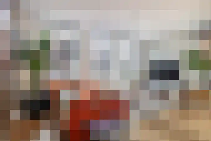 Dubbe Loop 4 Nuenen foto 2