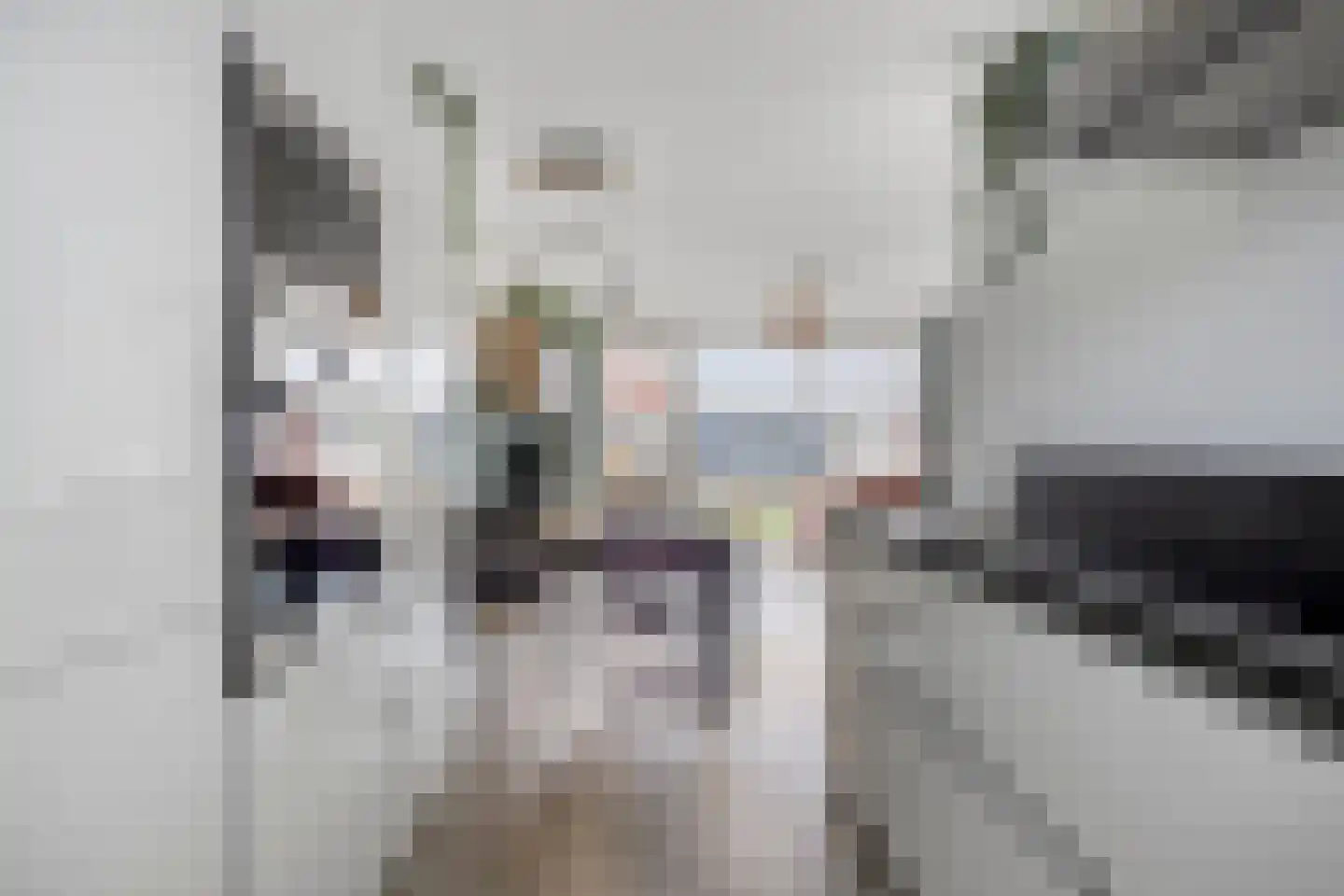 Dubbe Loop 8 Nuenen thumbnail 19
