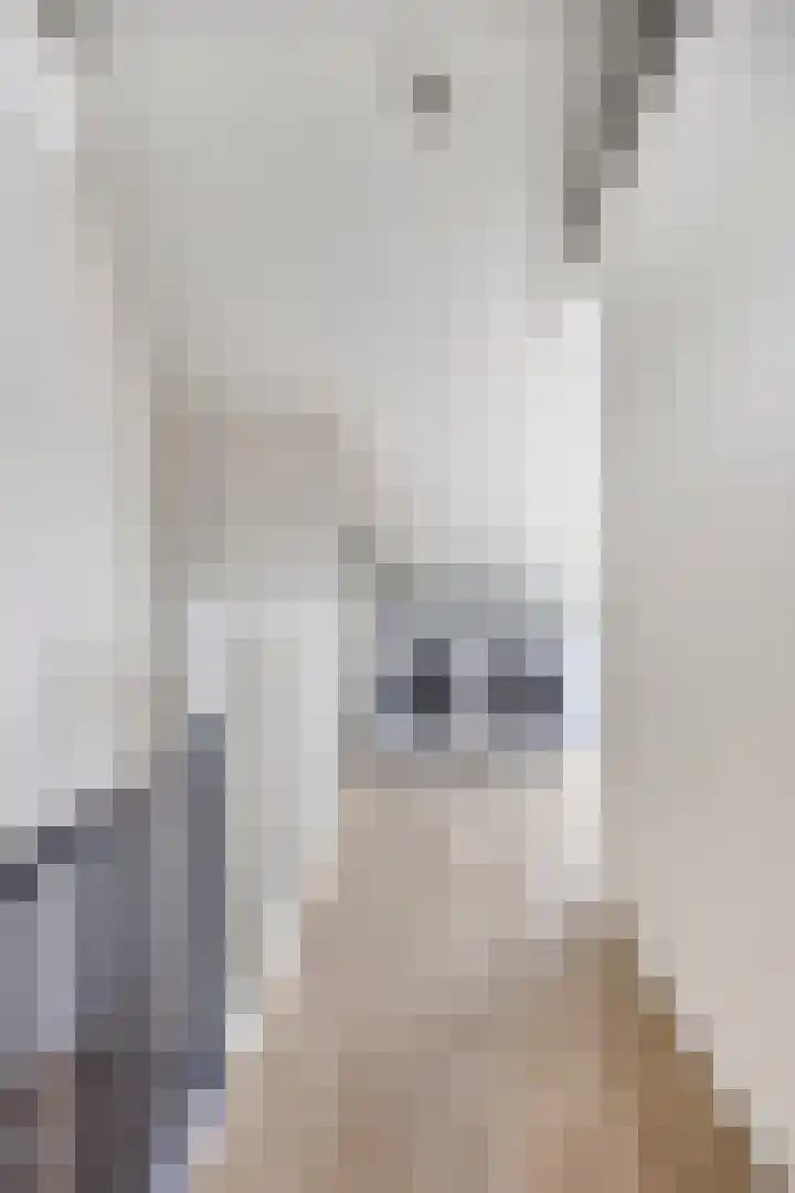 Dubbe Loop 8 Nuenen thumbnail 37