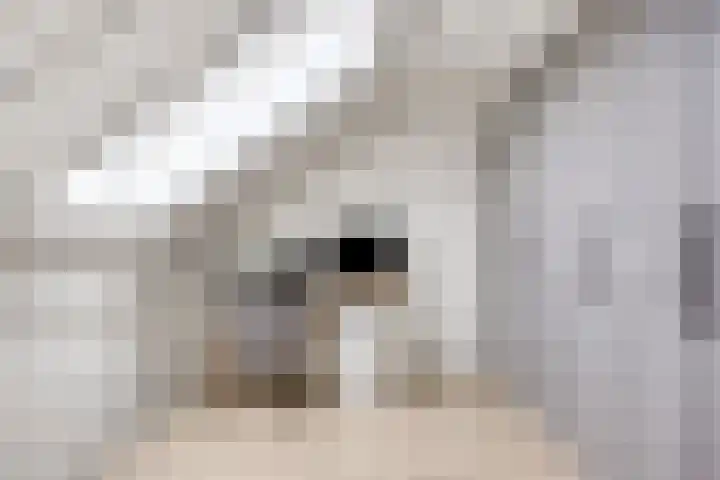 Dubbe Loop 8 Nuenen thumbnail 41