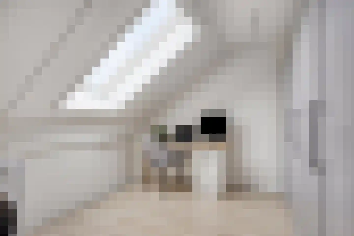 Dubbe Loop 8 Nuenen thumbnail 42