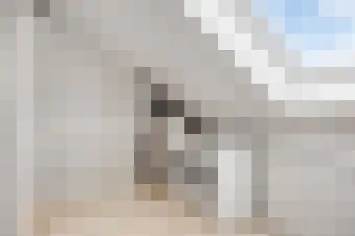 Dubbe Loop 8 Nuenen thumbnail 43