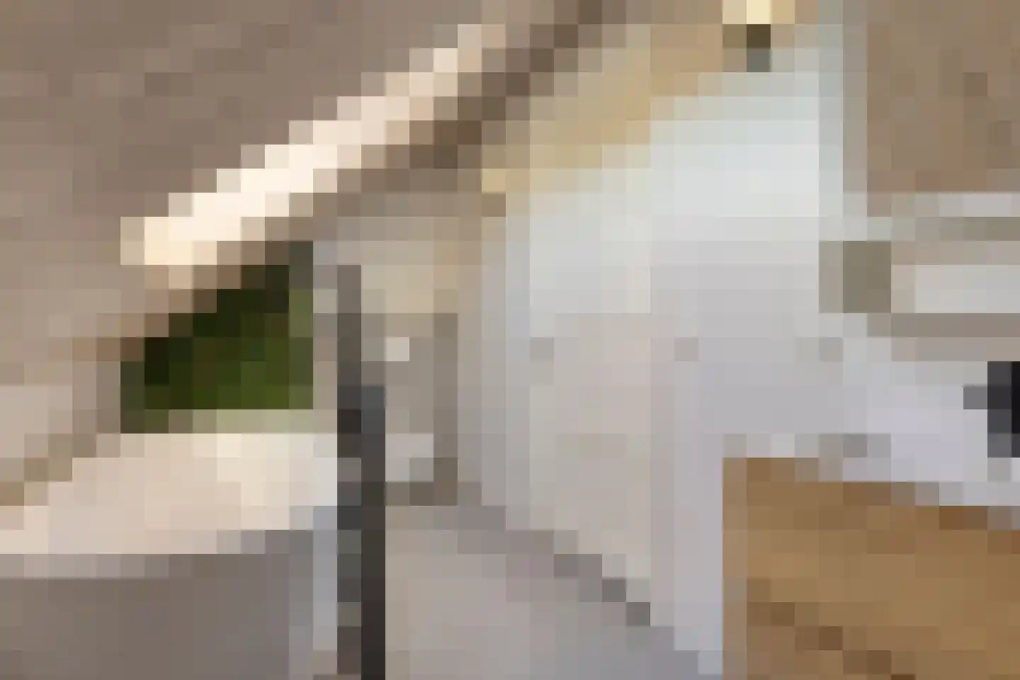 Dubbe Loop 9 Nuenen thumbnail 32