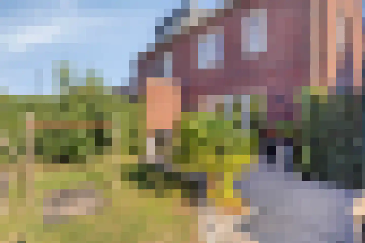 Dubbe Loop 9 Nuenen thumbnail 35