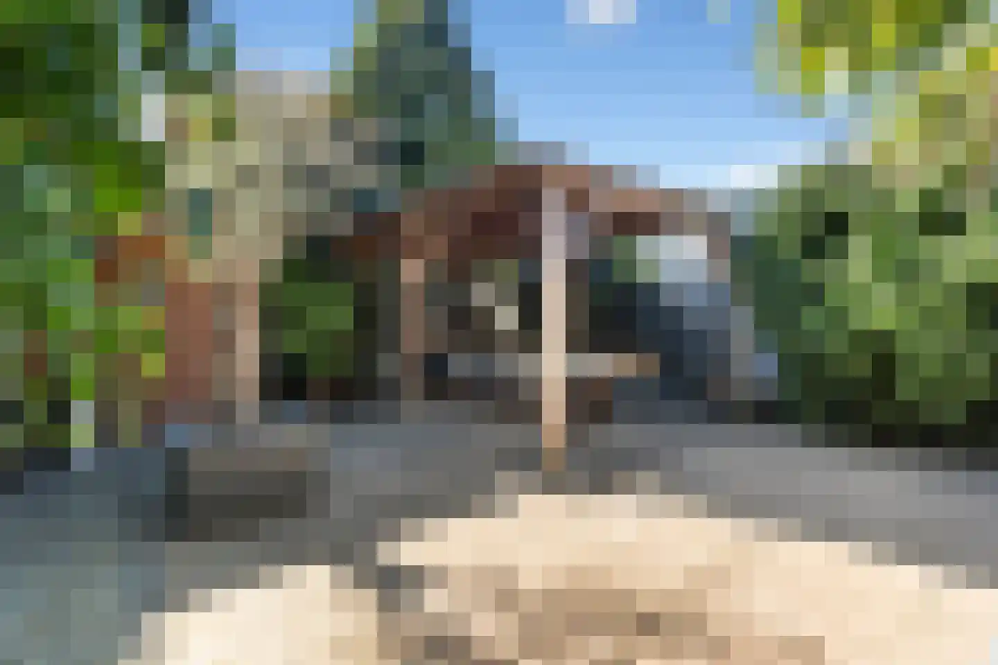 Dubbeldamseweg Noord 17 Dordrecht thumbnail 42