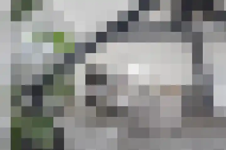 Dubbeldamseweg Noord 64 in Dordrecht