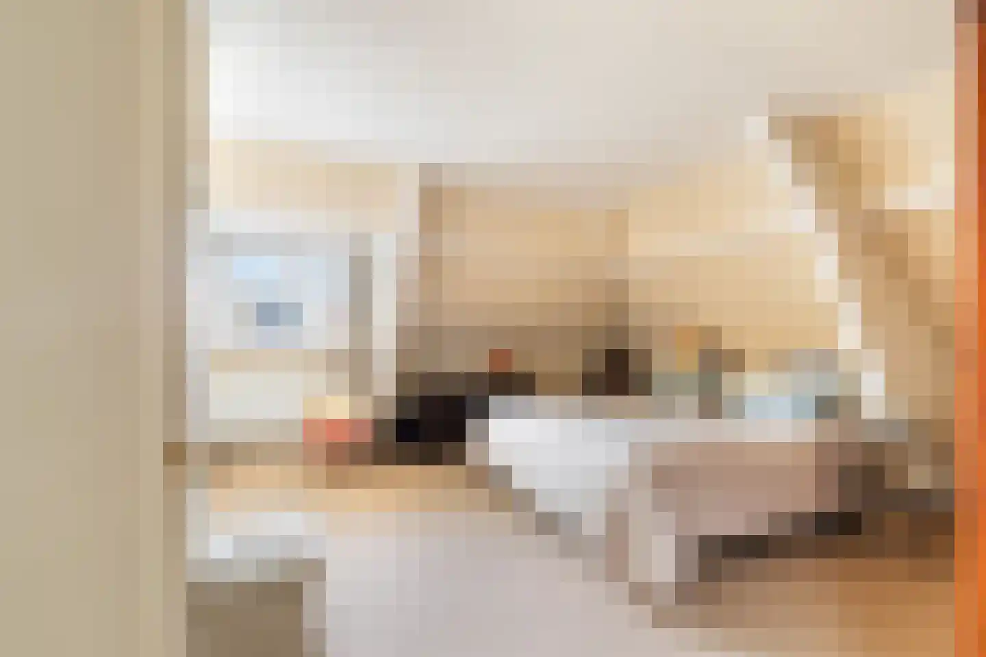 Dubbeldamseweg Zuid 231 Dordrecht thumbnail 65