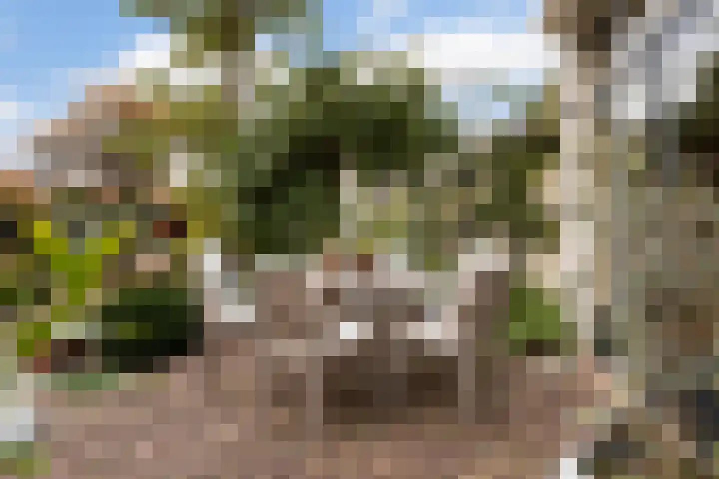 Dubbeldamseweg Zuid 231 Dordrecht thumbnail 96