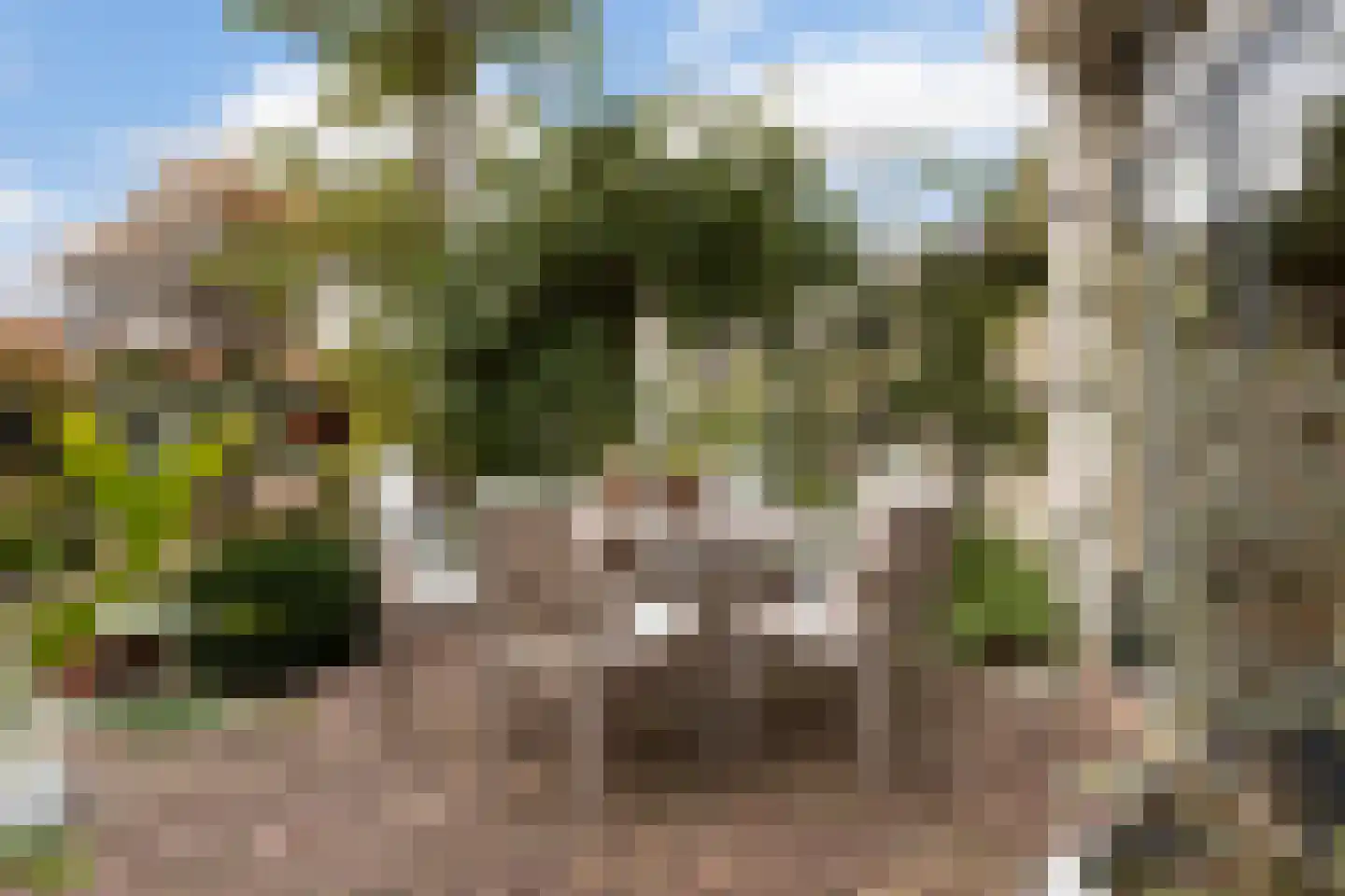 Dubbeldamseweg Zuid 231 Dordrecht thumbnail 97