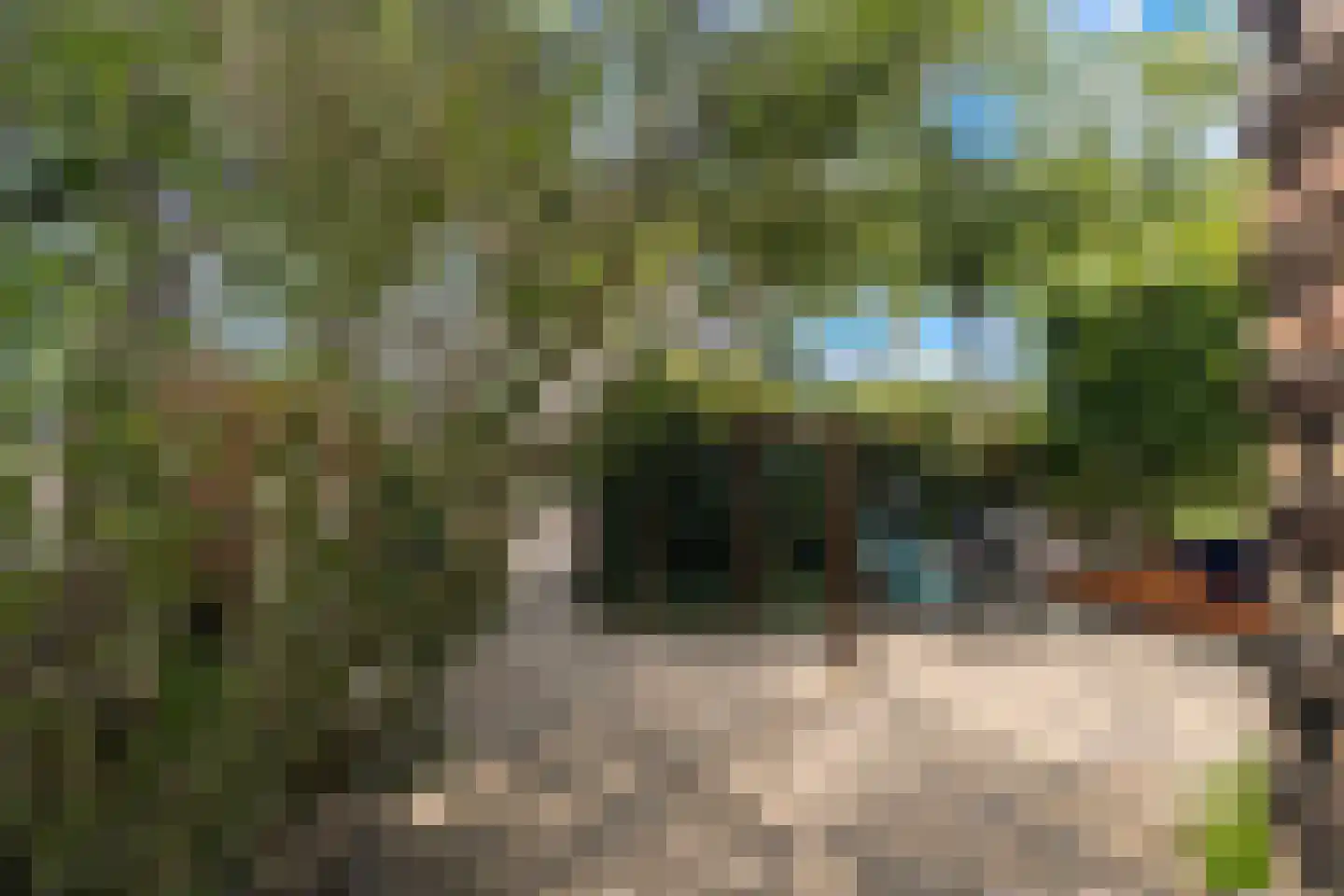Dubbeldamseweg Zuid 276 Dordrecht thumbnail 5