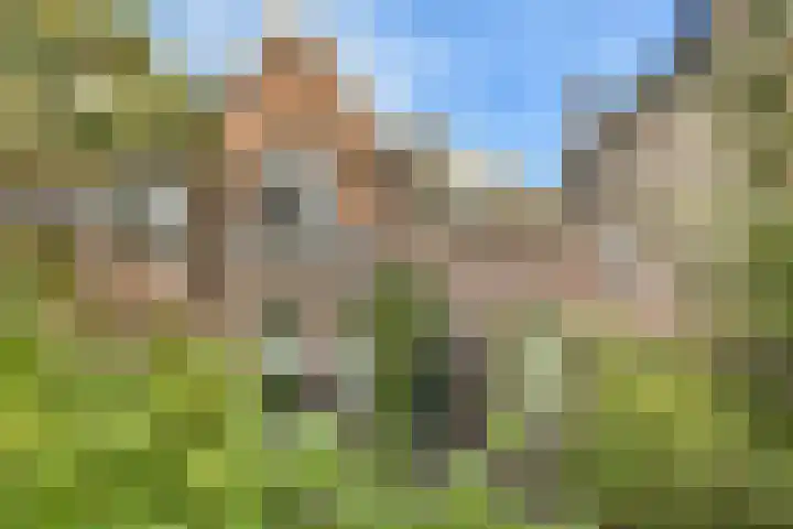 Dubbeldamseweg Zuid 280 in Dordrecht