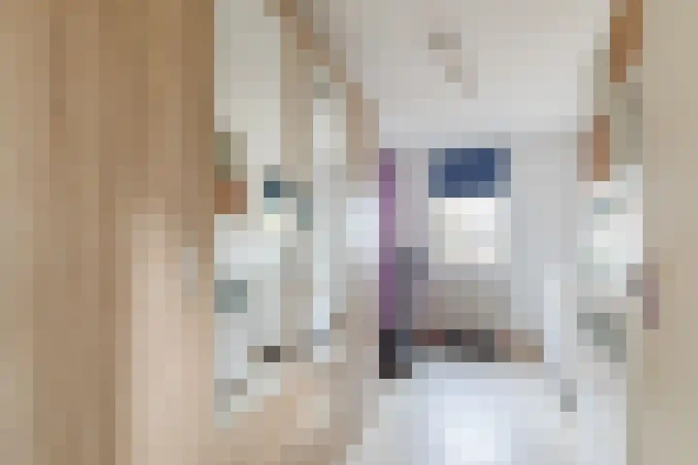 Dubbeldamstraat 30 Tilburg thumbnail 17