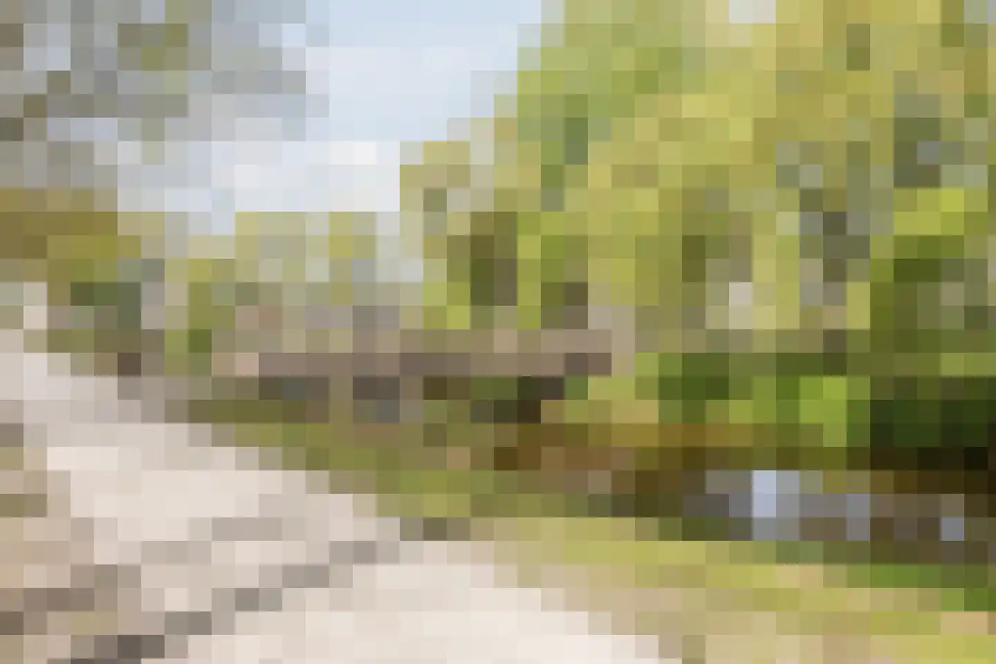 Dubbeldamstraat 30 Tilburg thumbnail 37