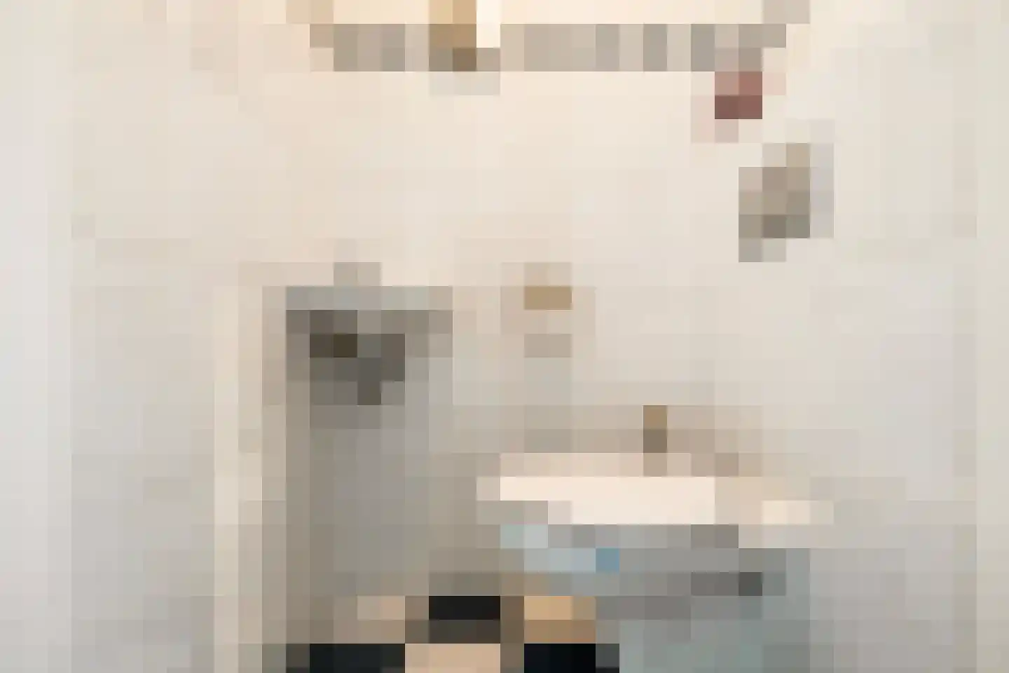 Dubbelde Skeer 12 Hippolytushoef thumbnail 10