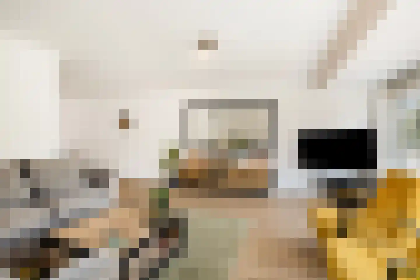 Dubbelde Skeer 12 Hippolytushoef thumbnail 14