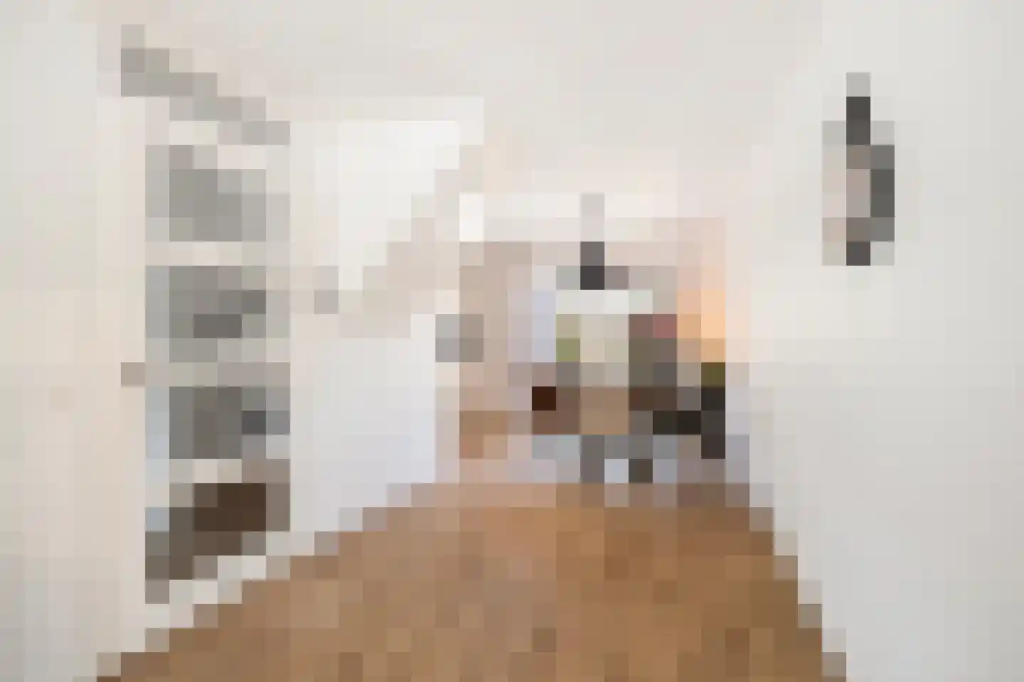 Dubbelde Skeer 12 Hippolytushoef thumbnail 18
