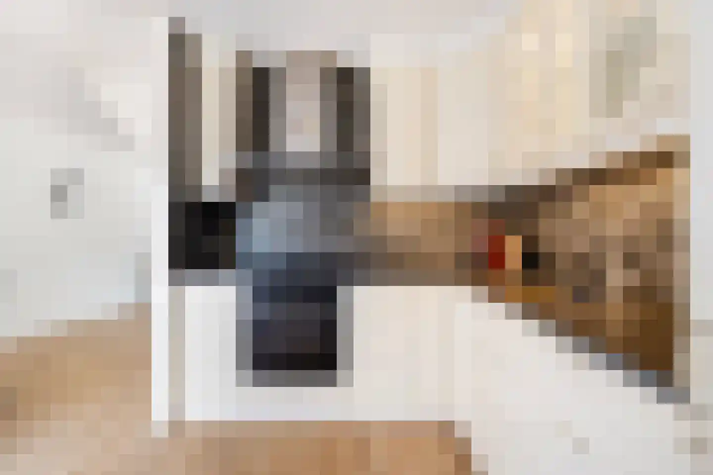 Dubbelde Skeer 12 Hippolytushoef thumbnail 23