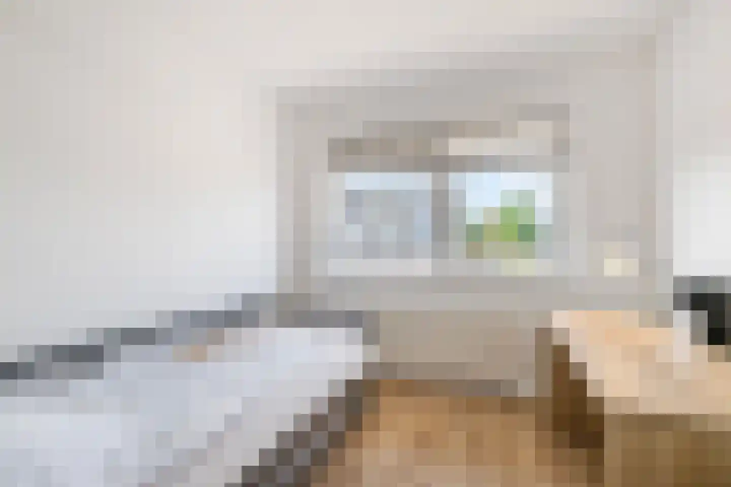 Dubbelde Skeer 12 Hippolytushoef thumbnail 30