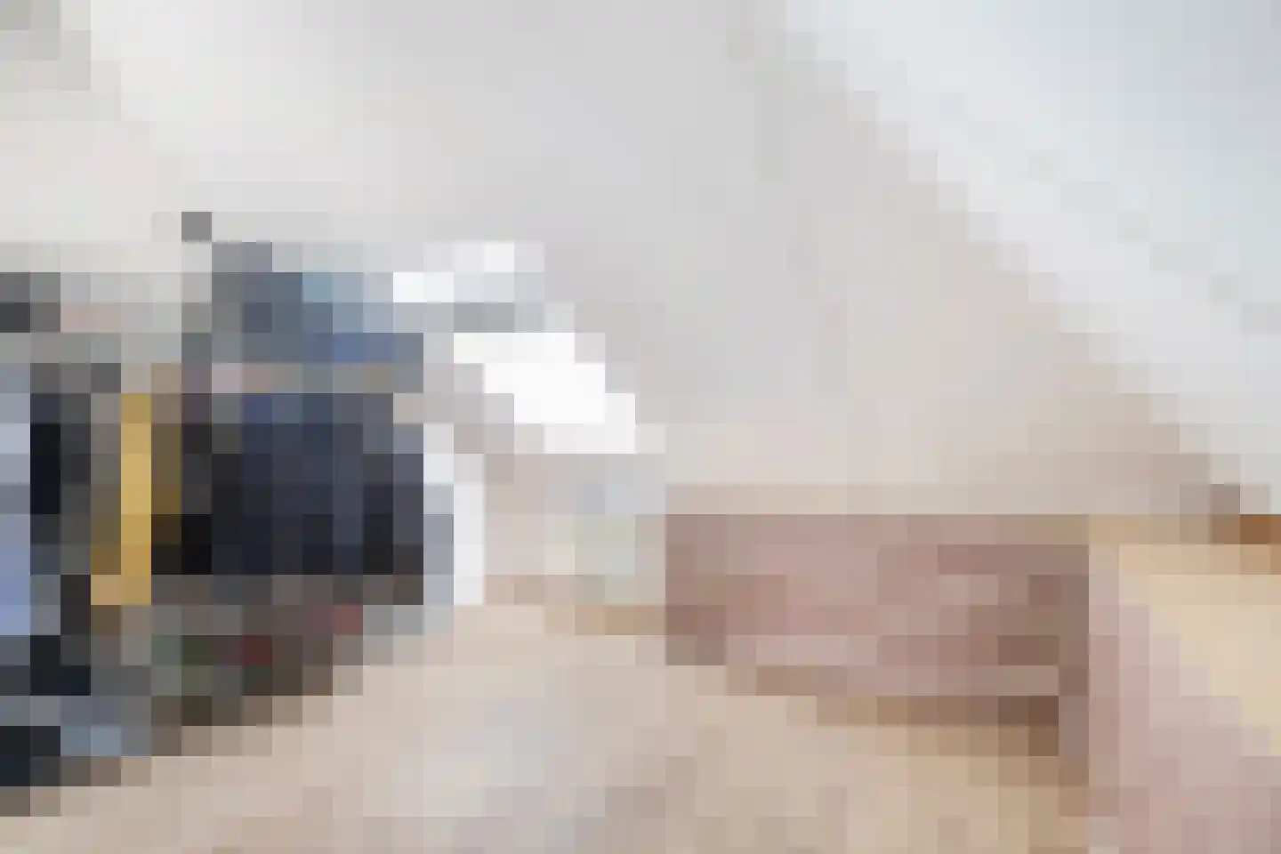 Dubbelde Skeer 12 Hippolytushoef thumbnail 36