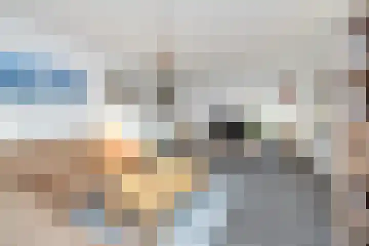 Dubbelde Skeer 27 Hippolytushoef thumbnail 11