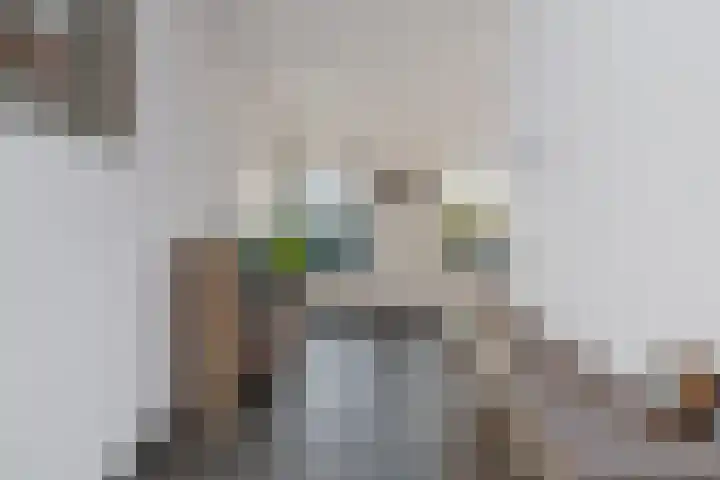 Dubbelde Skeer 27 Hippolytushoef thumbnail 12