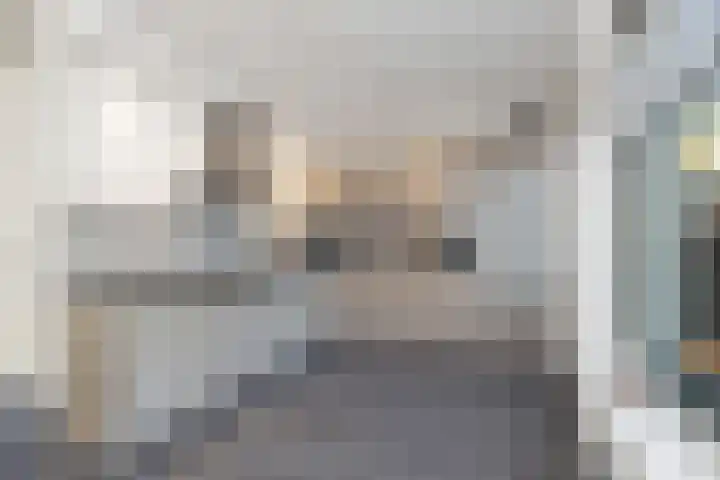 Dubbelde Skeer 27 Hippolytushoef thumbnail 15