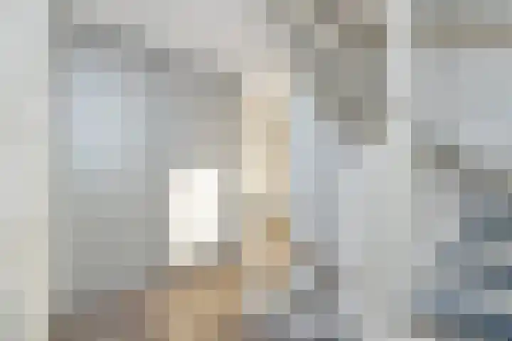 Dubbelde Skeer 27 Hippolytushoef thumbnail 17