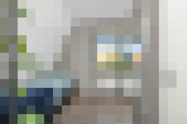 Dubbelde Skeer 27 Hippolytushoef thumbnail 18