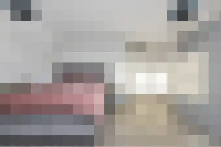 Dubbelde Skeer 27 Hippolytushoef thumbnail 23