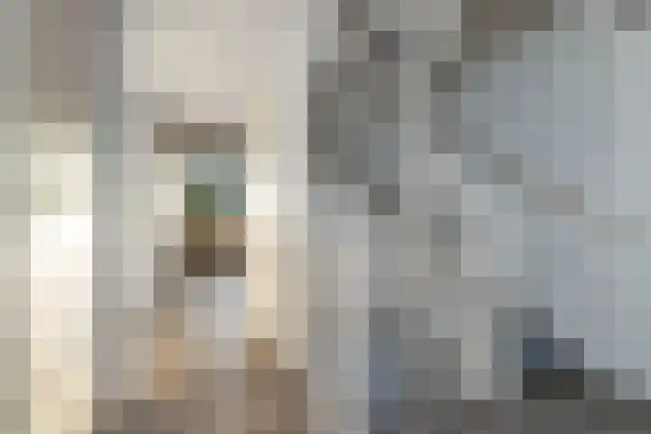 Dubbelde Skeer 27 Hippolytushoef thumbnail 28