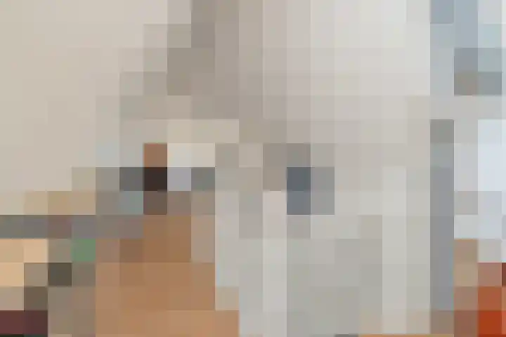 Dubbelde Skeer 27 Hippolytushoef thumbnail 30