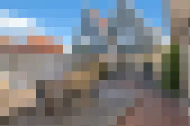 Dubbelde Skeer 27 Hippolytushoef thumbnail 31