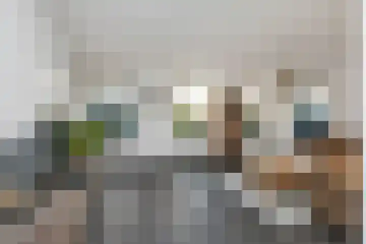 Dubbelde Skeer 27 Hippolytushoef thumbnail 9
