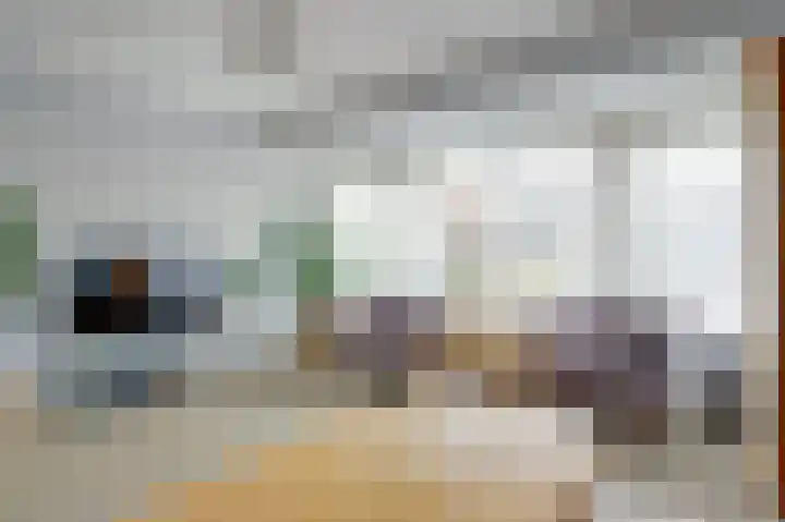 Dubbelde Skeer 32 Hippolytushoef thumbnail 11
