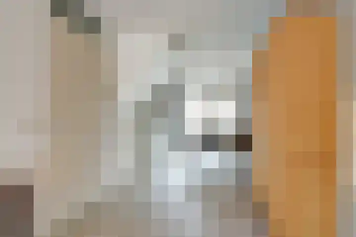 Dubbelde Skeer 32 Hippolytushoef thumbnail 12