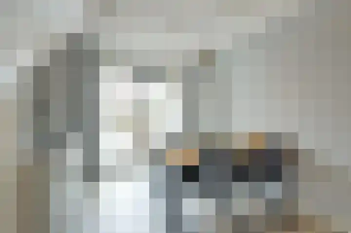 Dubbelde Skeer 32 Hippolytushoef thumbnail 13