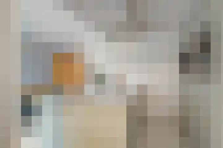 Dubbelde Skeer 32 Hippolytushoef thumbnail 15
