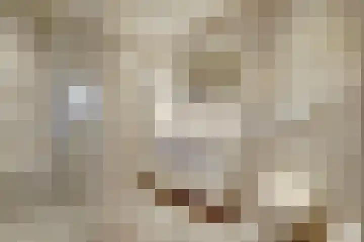 Dubbelde Skeer 32 Hippolytushoef thumbnail 24