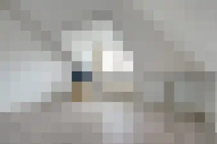 Dubbelde Skeer 32 Hippolytushoef thumbnail 28