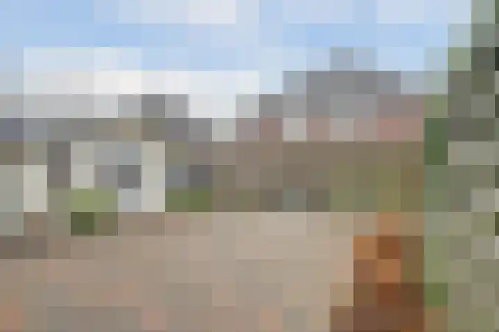 Dubbelde Skeer 32 Hippolytushoef thumbnail 31